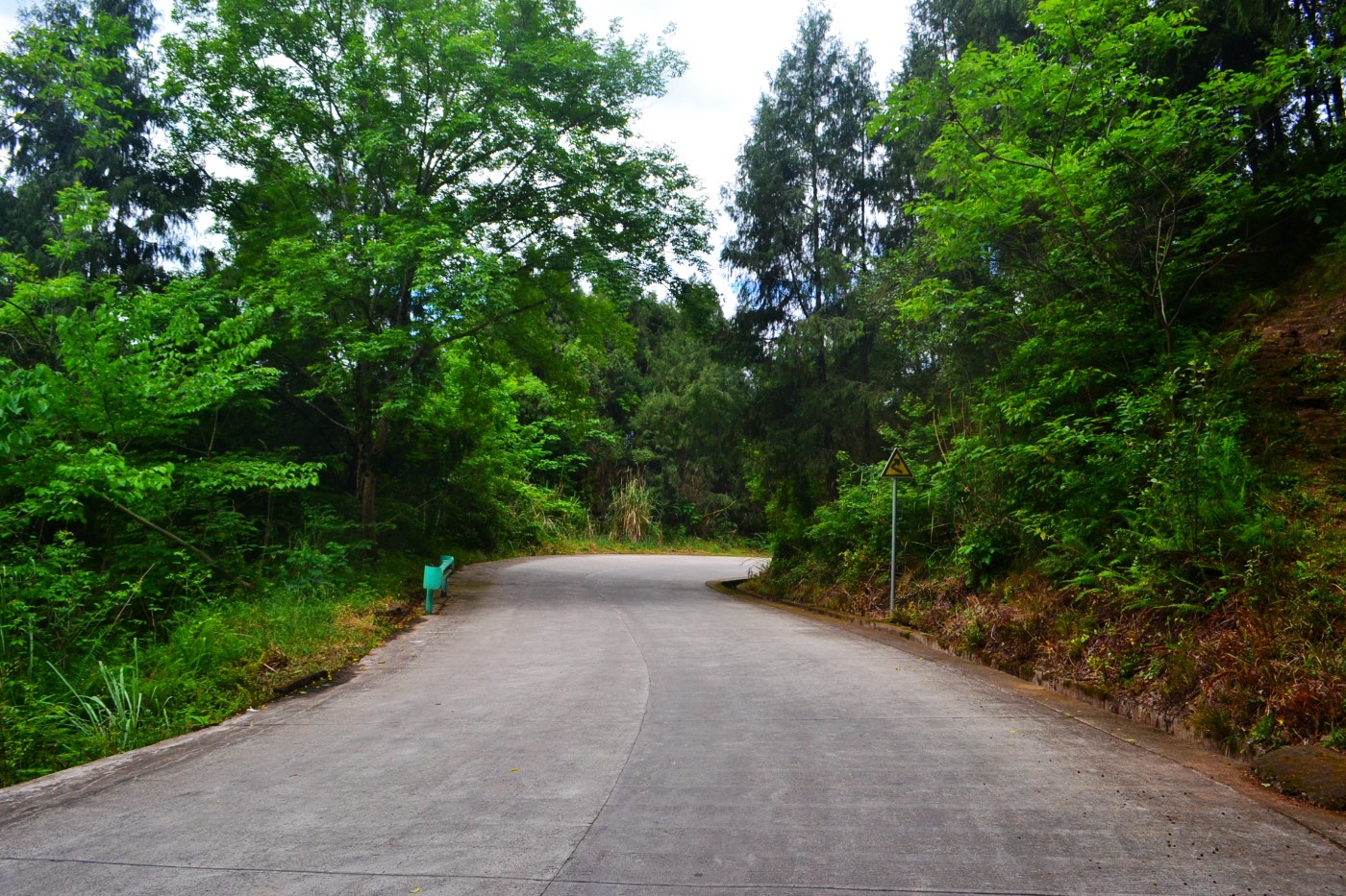 DSC_9612.JPG