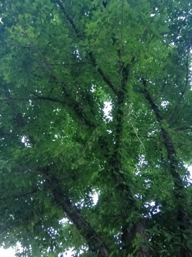 IMG_20230518_184119.jpg