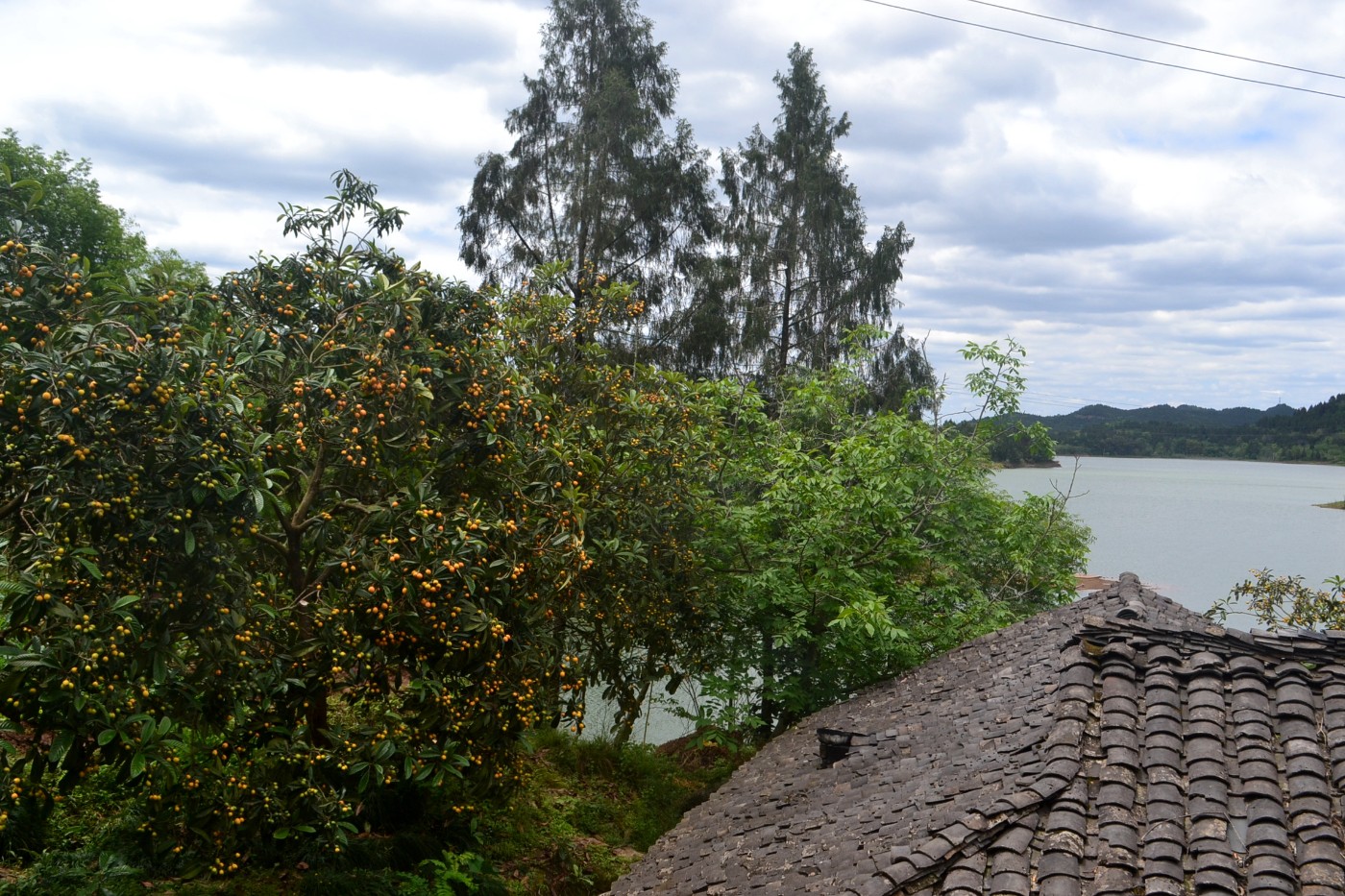 DSC_9680.JPG