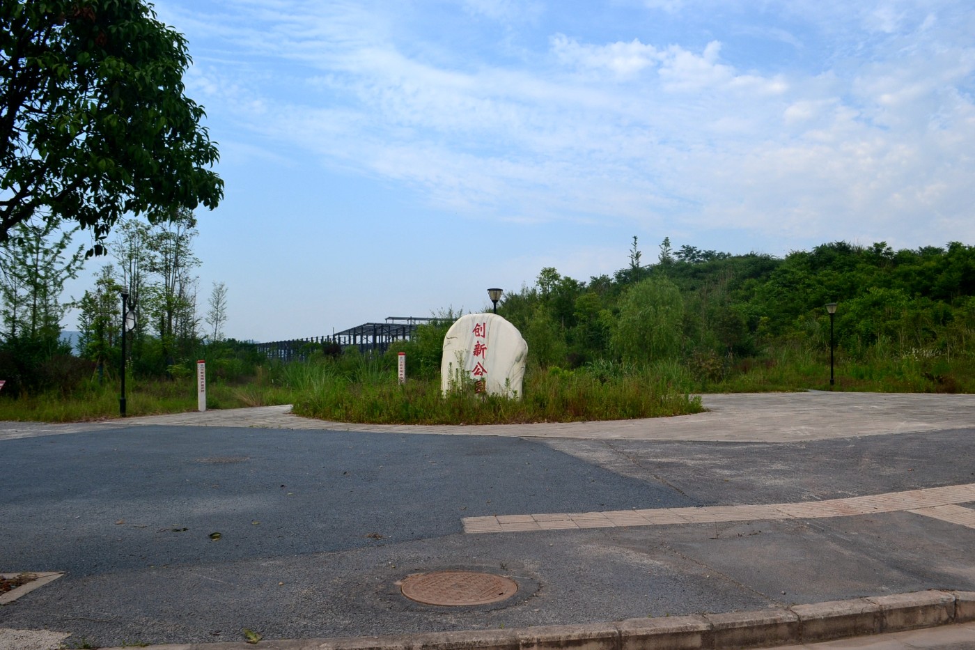 DSC_9846.JPG