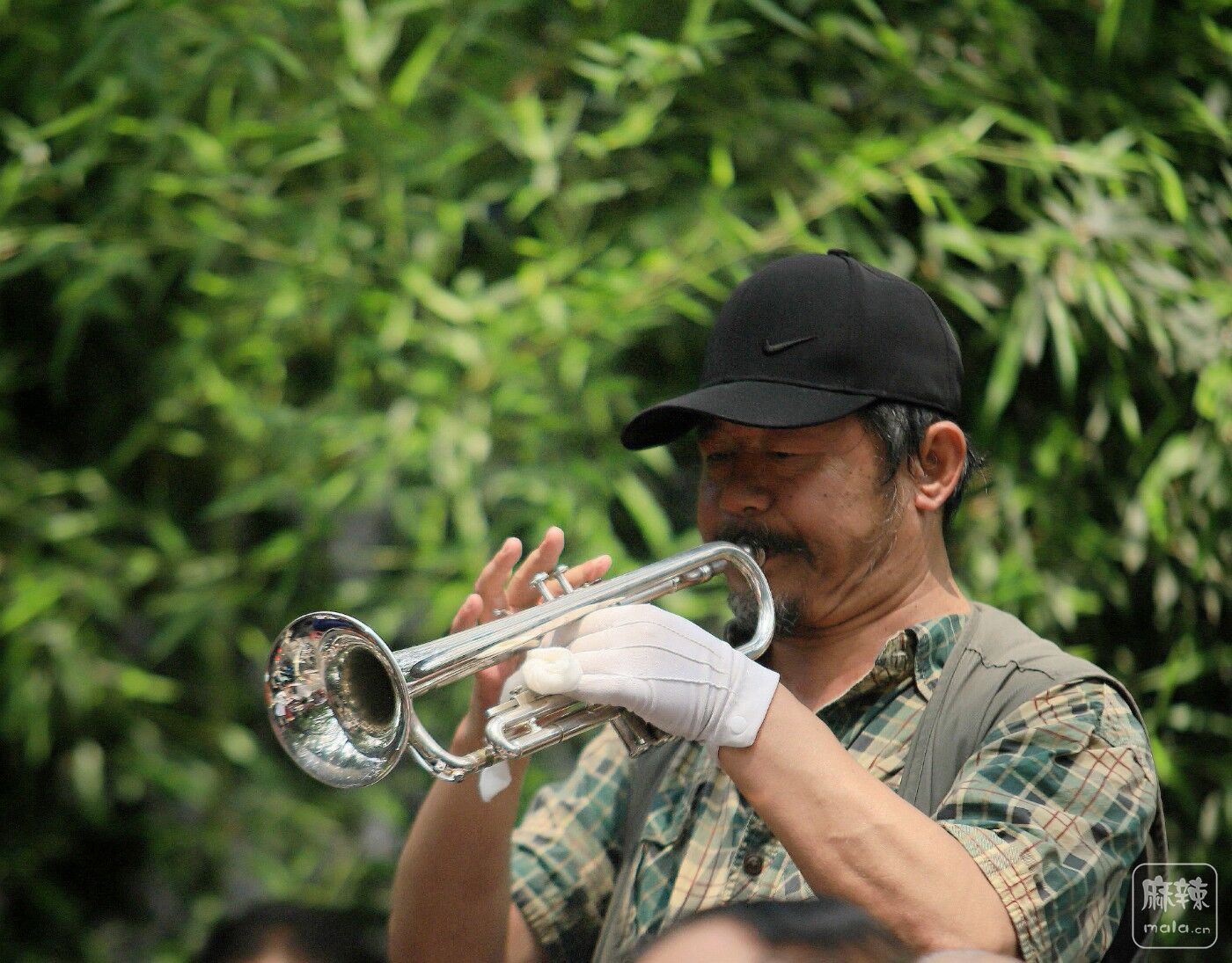 IMG_5784_.jpg
