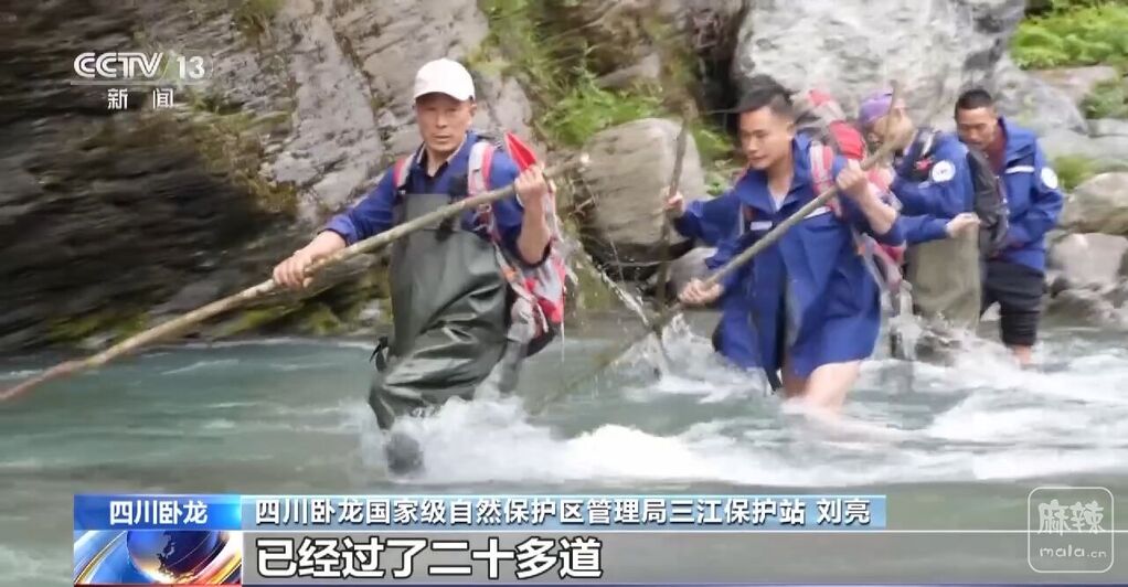 d5b09a49-28ae-4b03-aa56-78ca98cc0162_1685157097673-cgwapimg.jpg