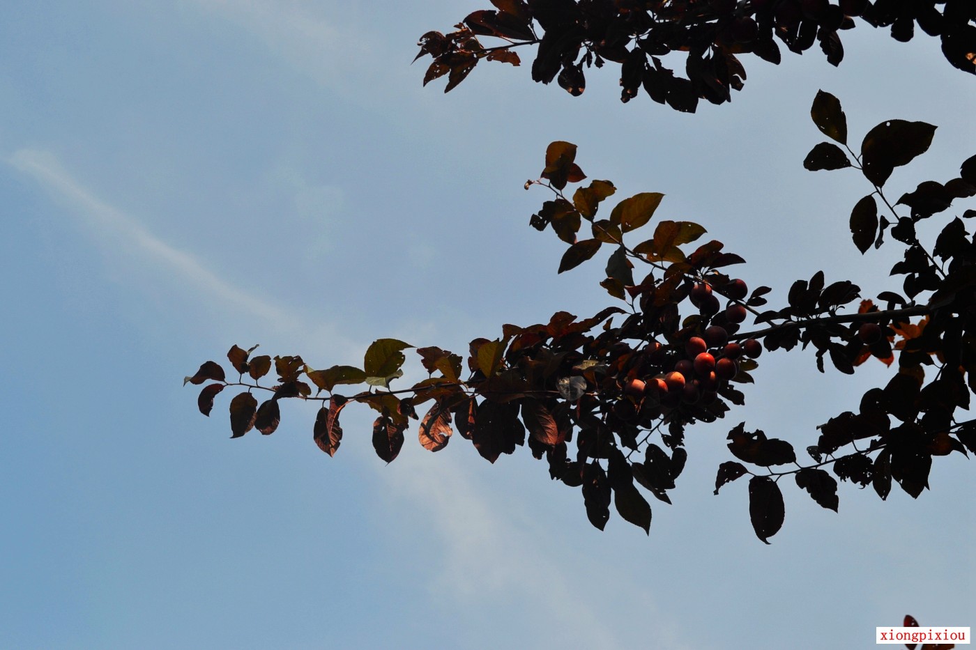 DSC_0281.JPG
