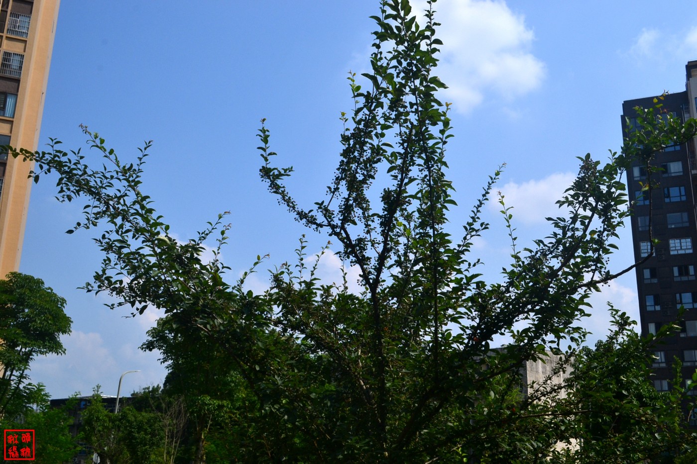 DSC_0476.JPG