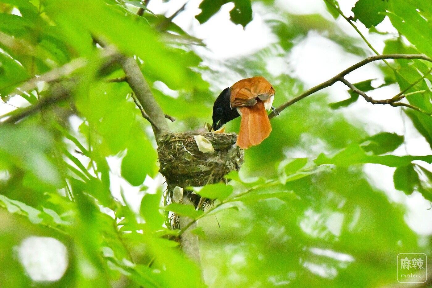 DSC_5805.JPG