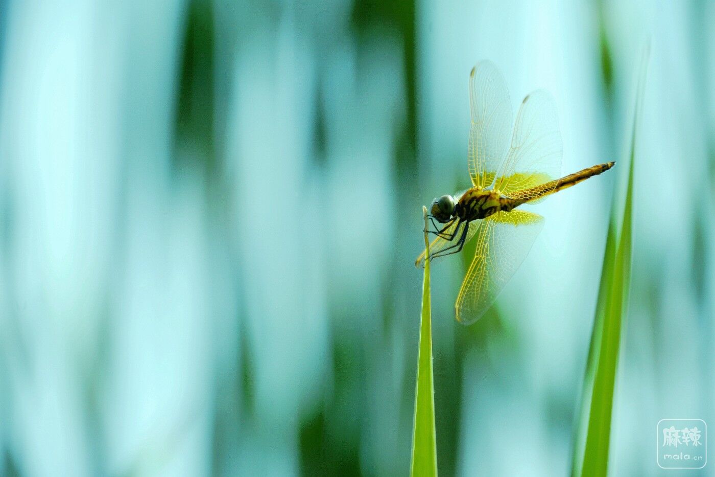 CD1_2258_.jpg