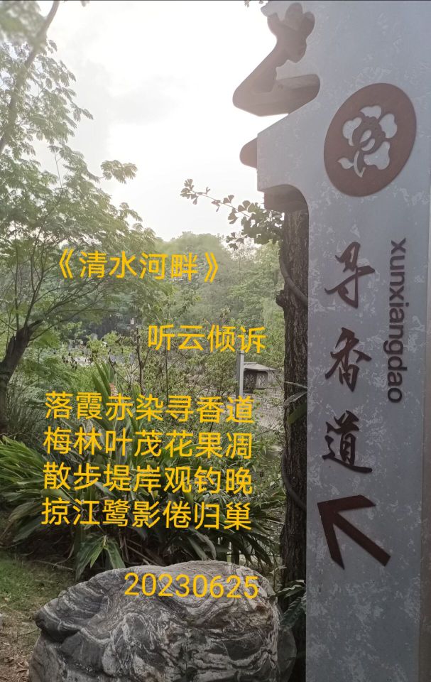 20230625201934front2_0_7607032_FrIF9PL1obnVBzzjHwBddJqCSA3l.jpg