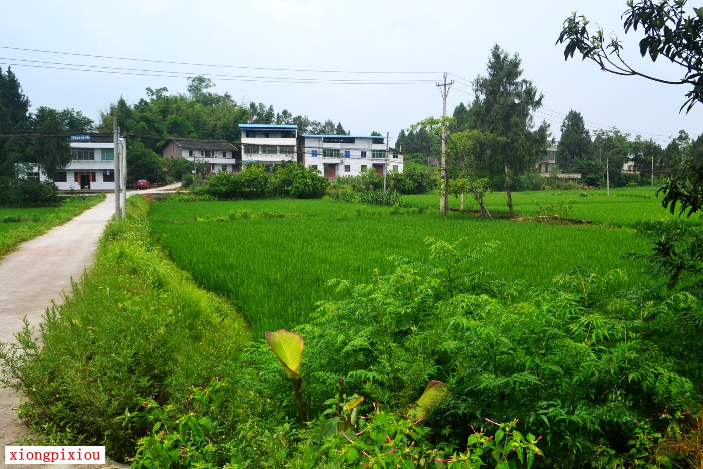 DSC_1104.JPG
