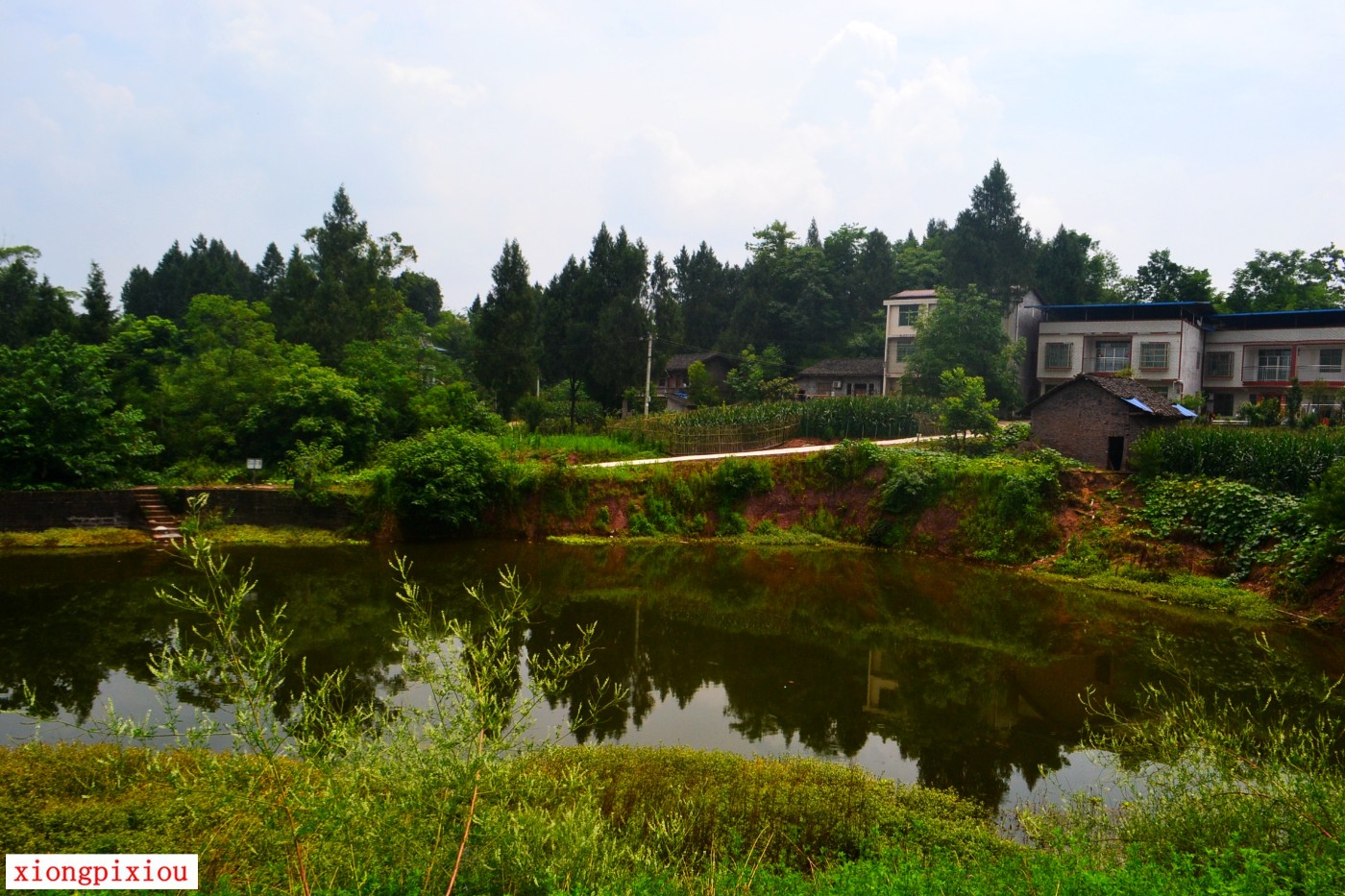DSC_1109.JPG