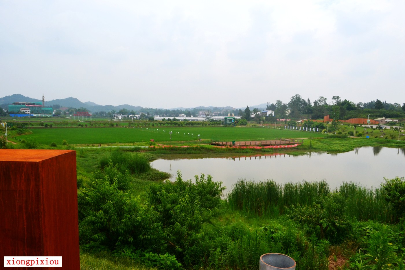 DSC_1157.JPG