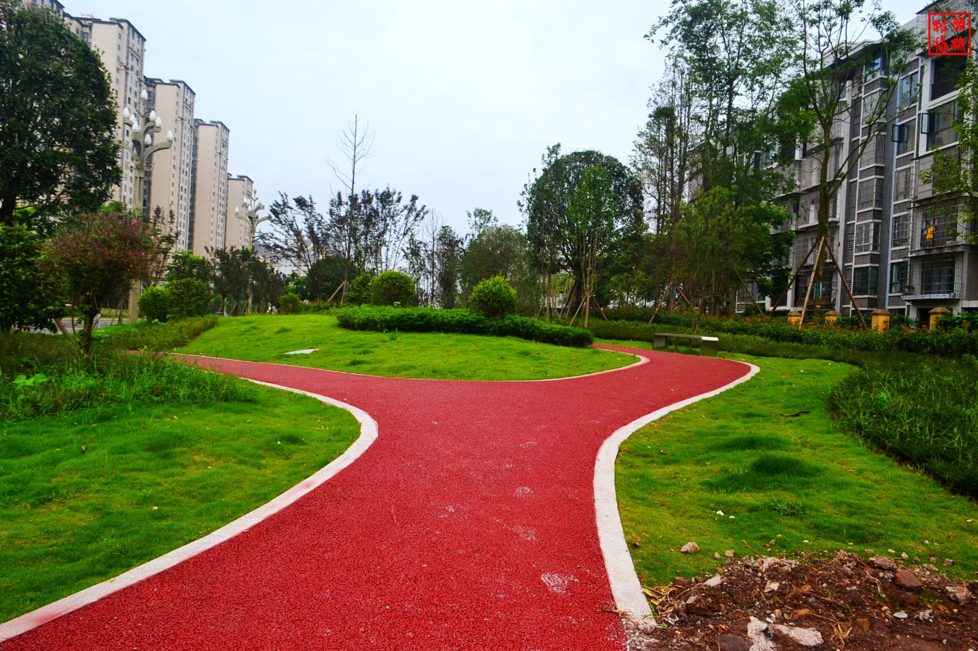 DSC_1310.JPG