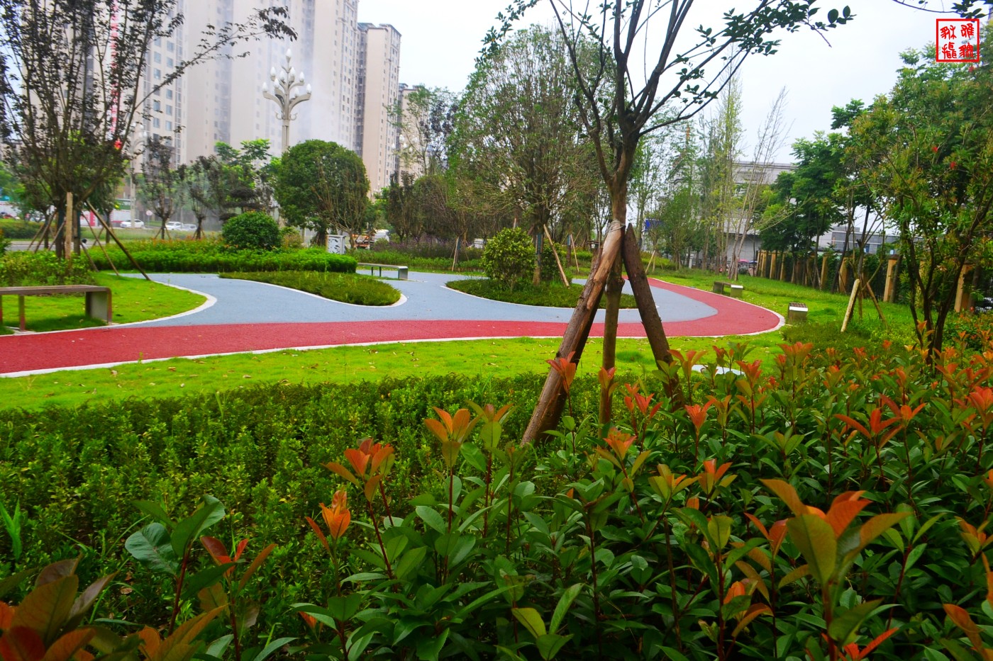 DSC_1313.JPG