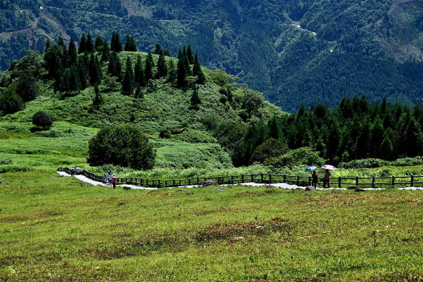 黑竹沟马里冷旧景点图片