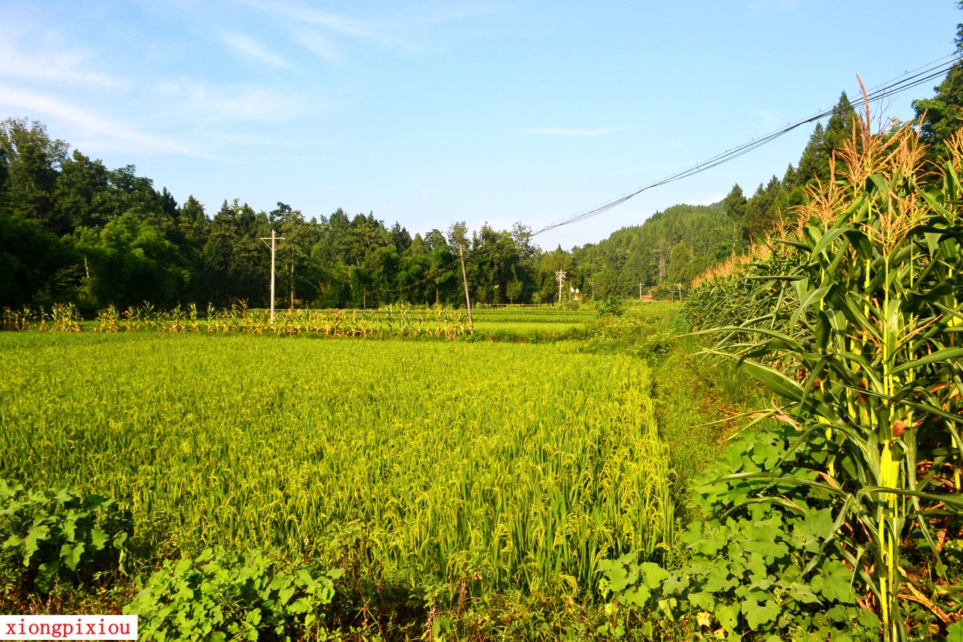 DSC_1567.JPG