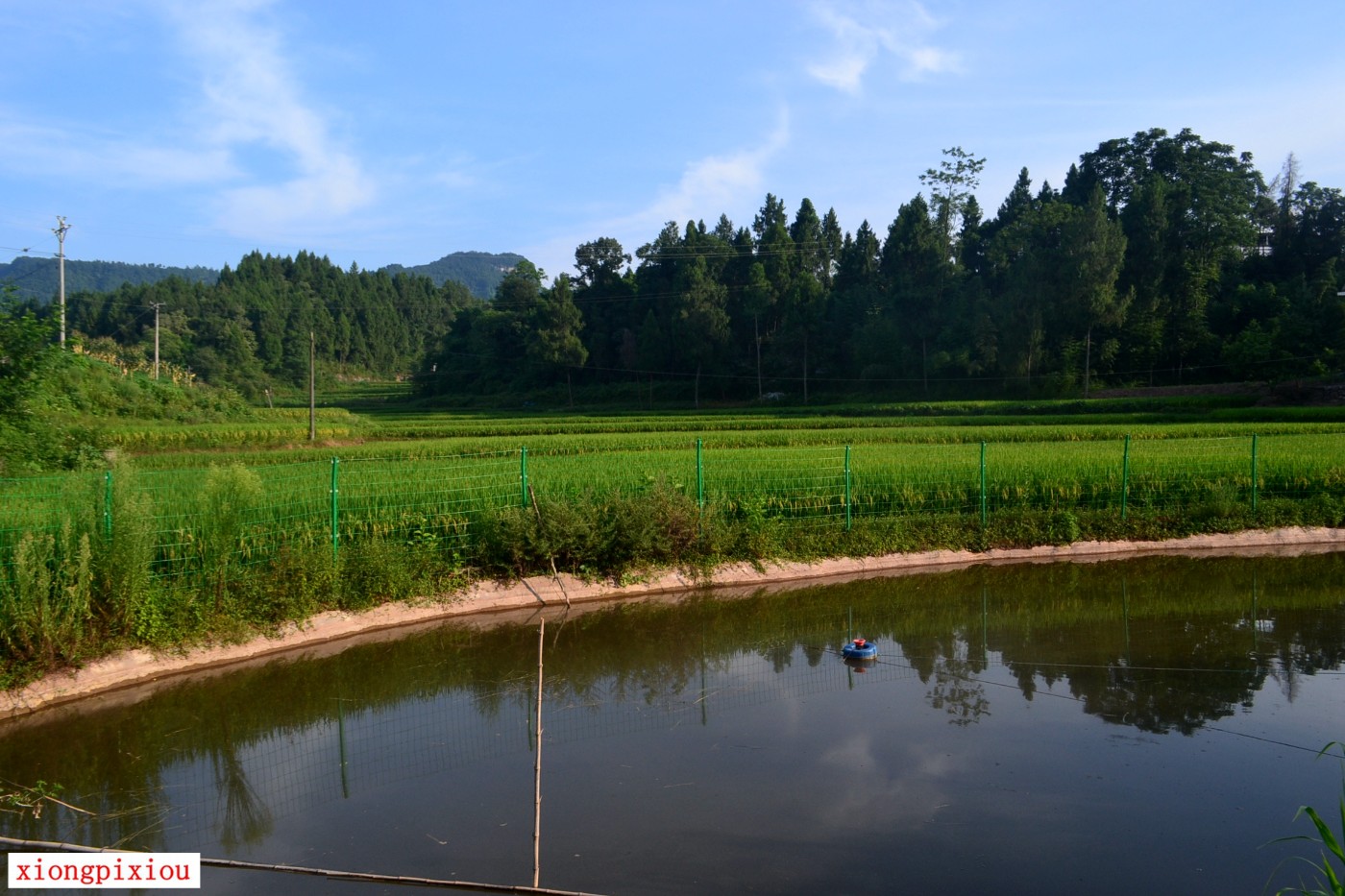 DSC_1583.JPG