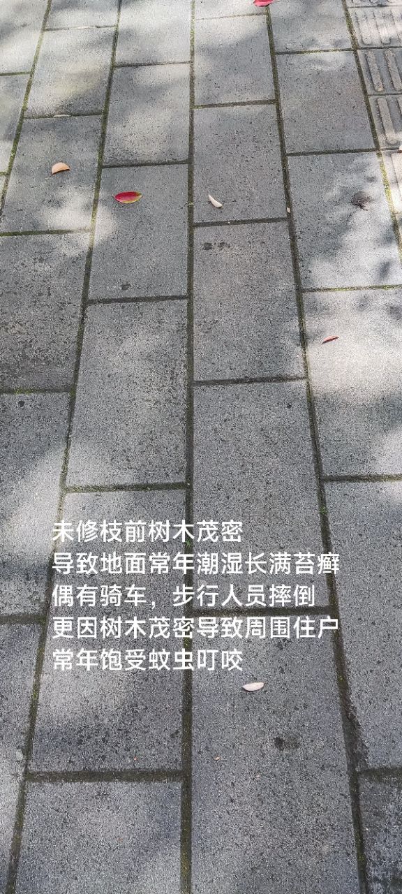20230730221414front2_0_7759647_Fp97wsVHBkEqnZuixFDCvDoOO_FE.jpg