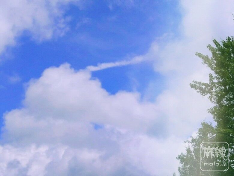 20230801.jpg