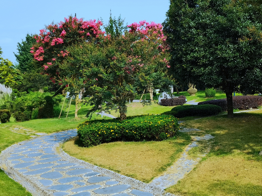 IMG_20230725_091819_.jpg