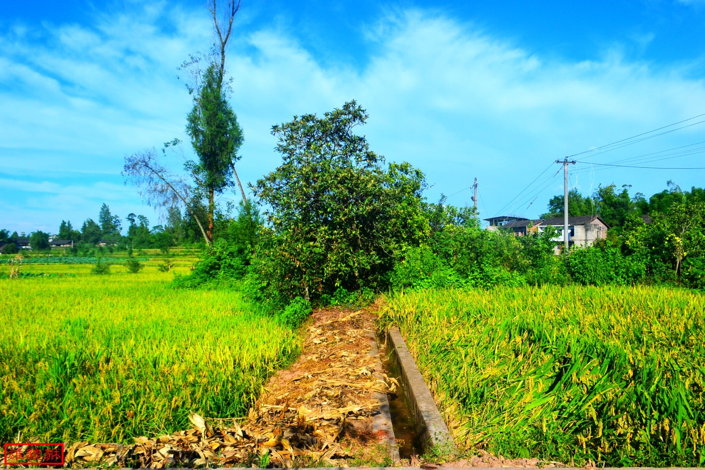 DSC_1723.JPG