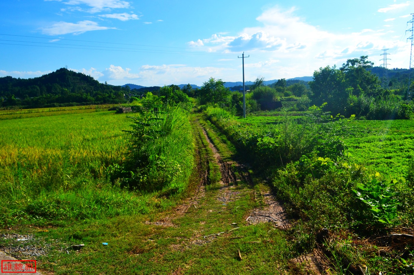 DSC_1730.JPG
