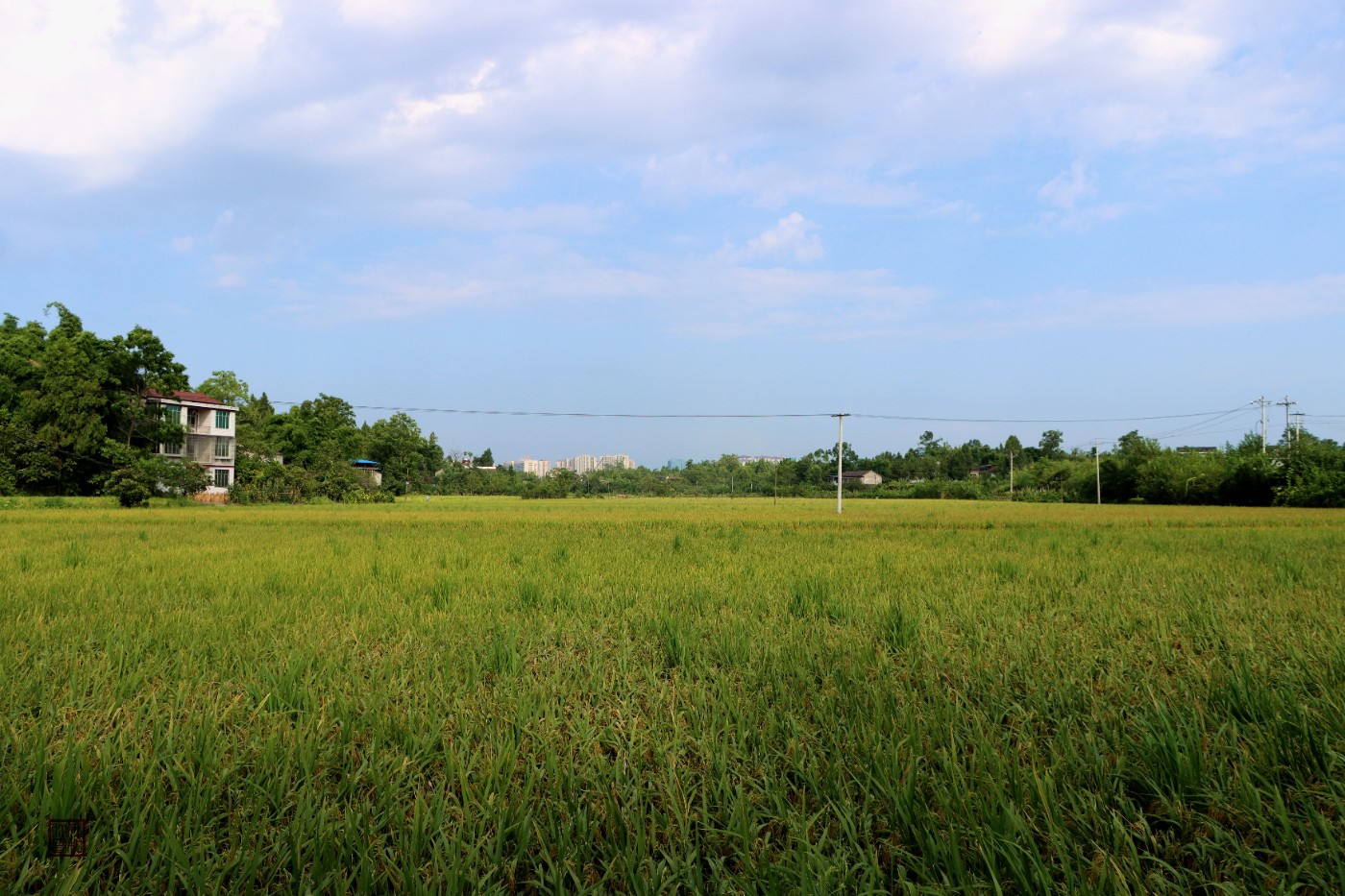 IMG_0170.jpg