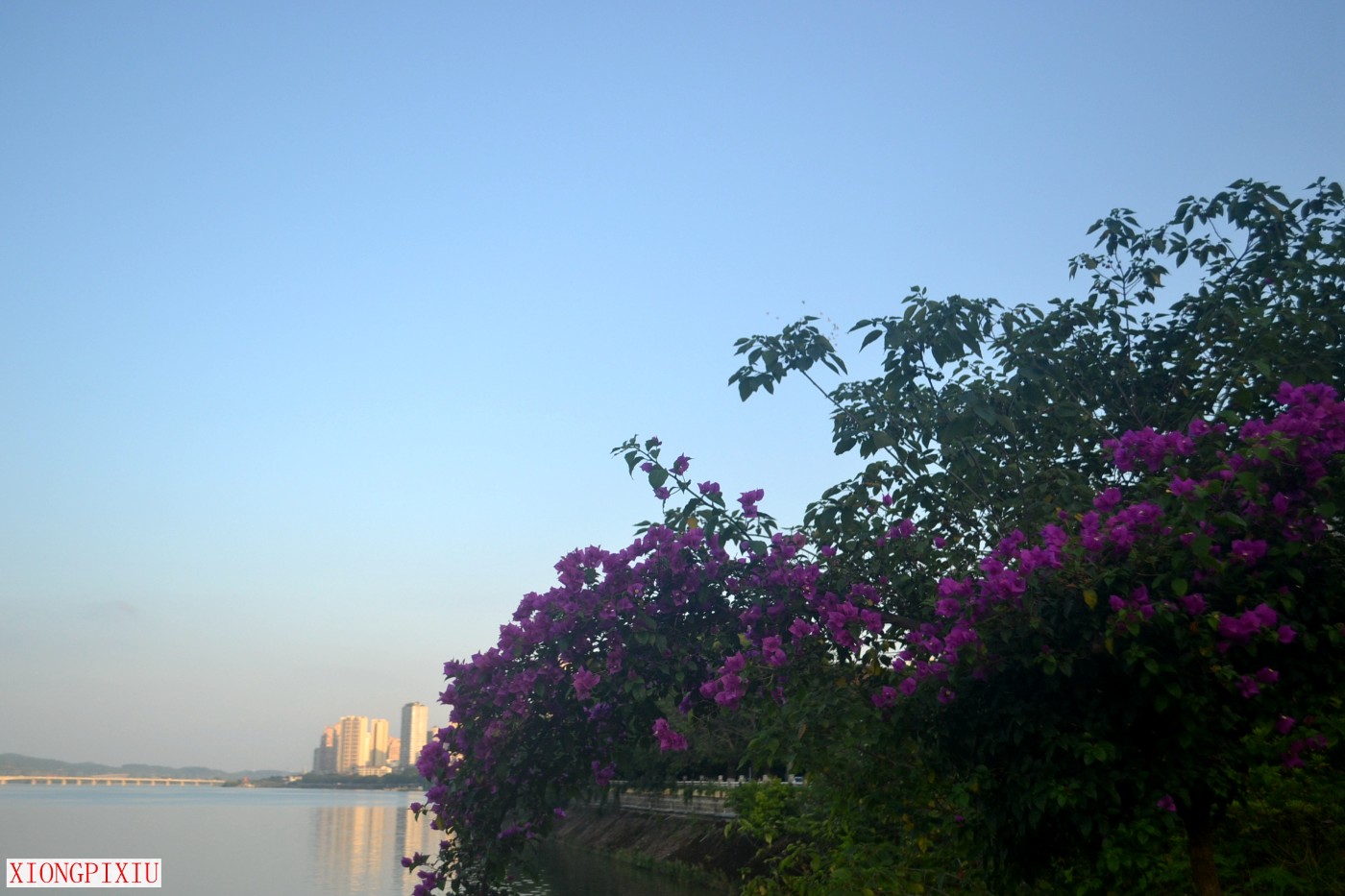 DSC_1835.JPG