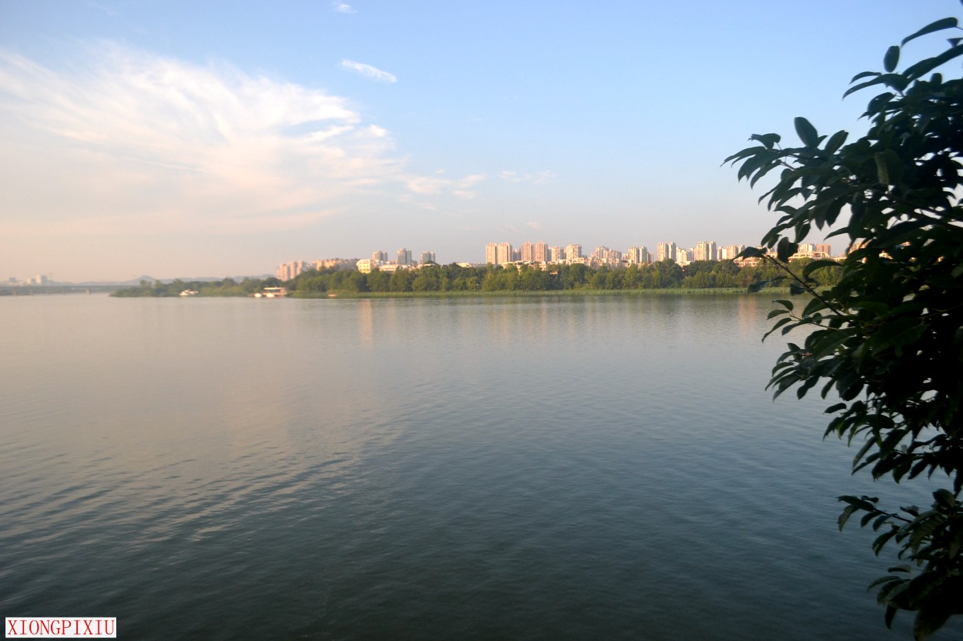 DSC_1819.JPG