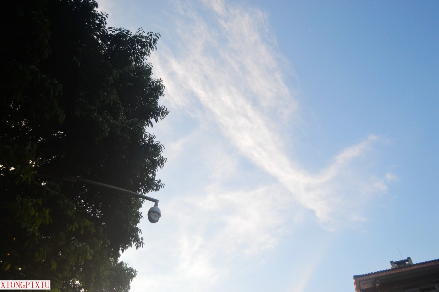 DSC_1815.JPG