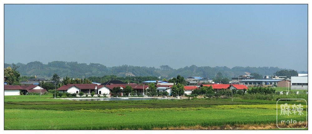 DSC_7741.jpg
