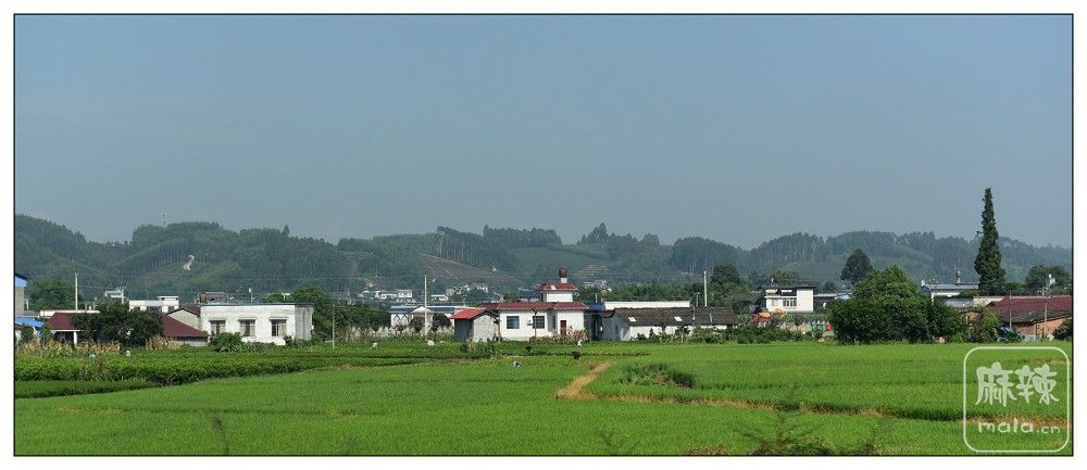 DSC_7742.jpg