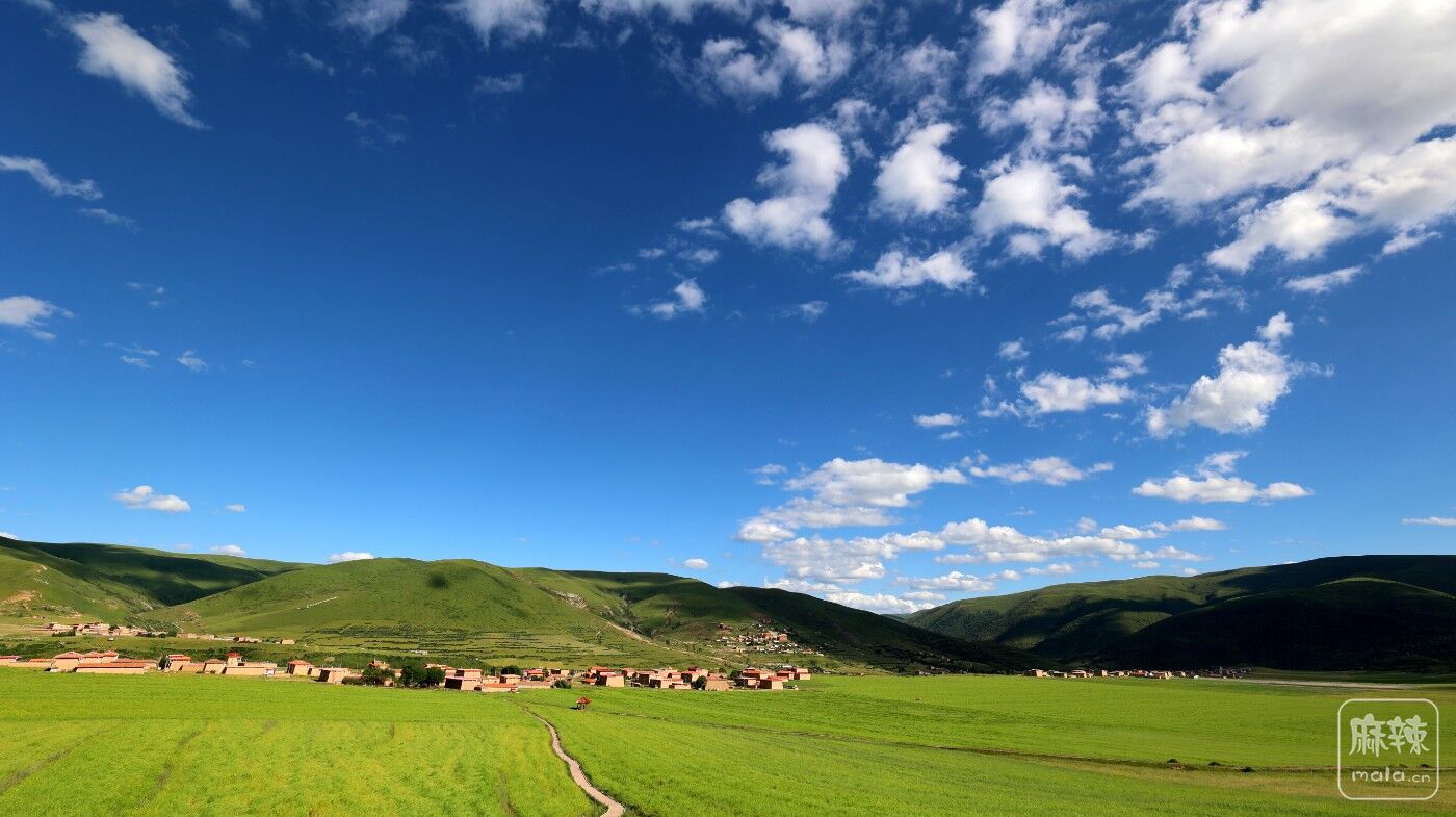 d401eba85ef685d69d5a02e6a38edf6.jpg