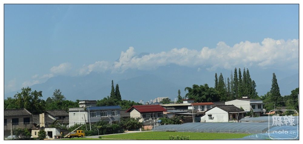DSC_7850.jpg