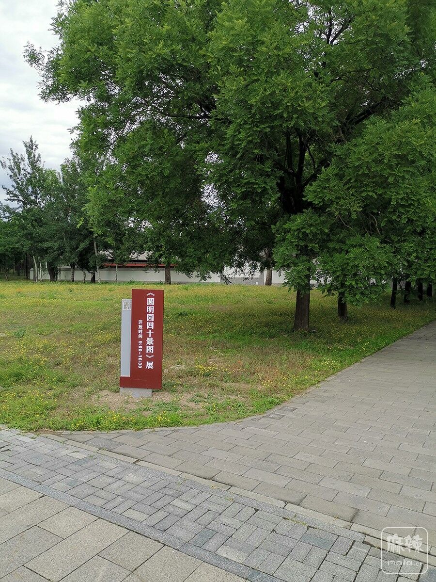 IMG_20200525_145507.jpg