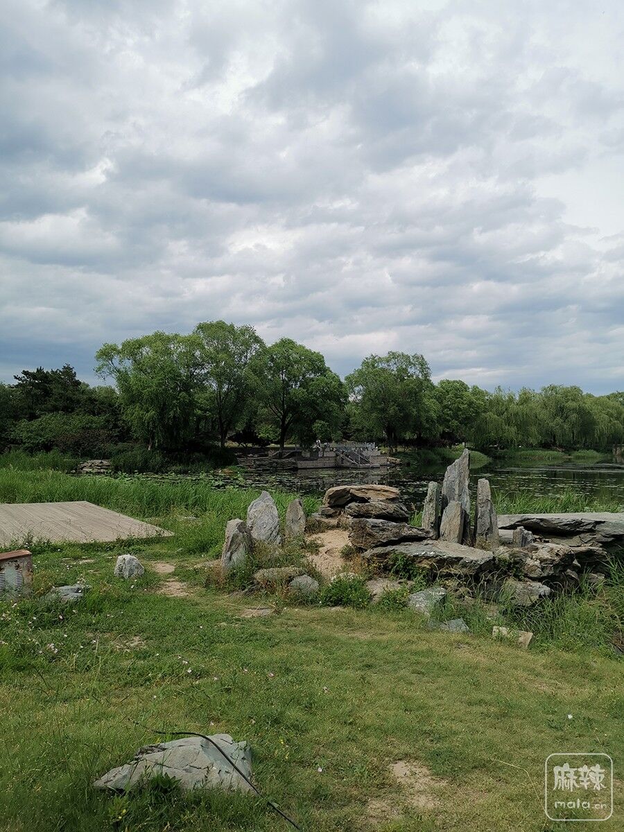 IMG_20200525_152745.jpg