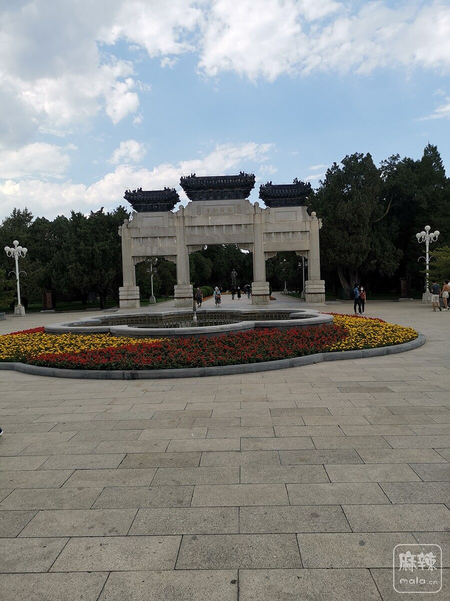 IMG_20200524_145322.jpg