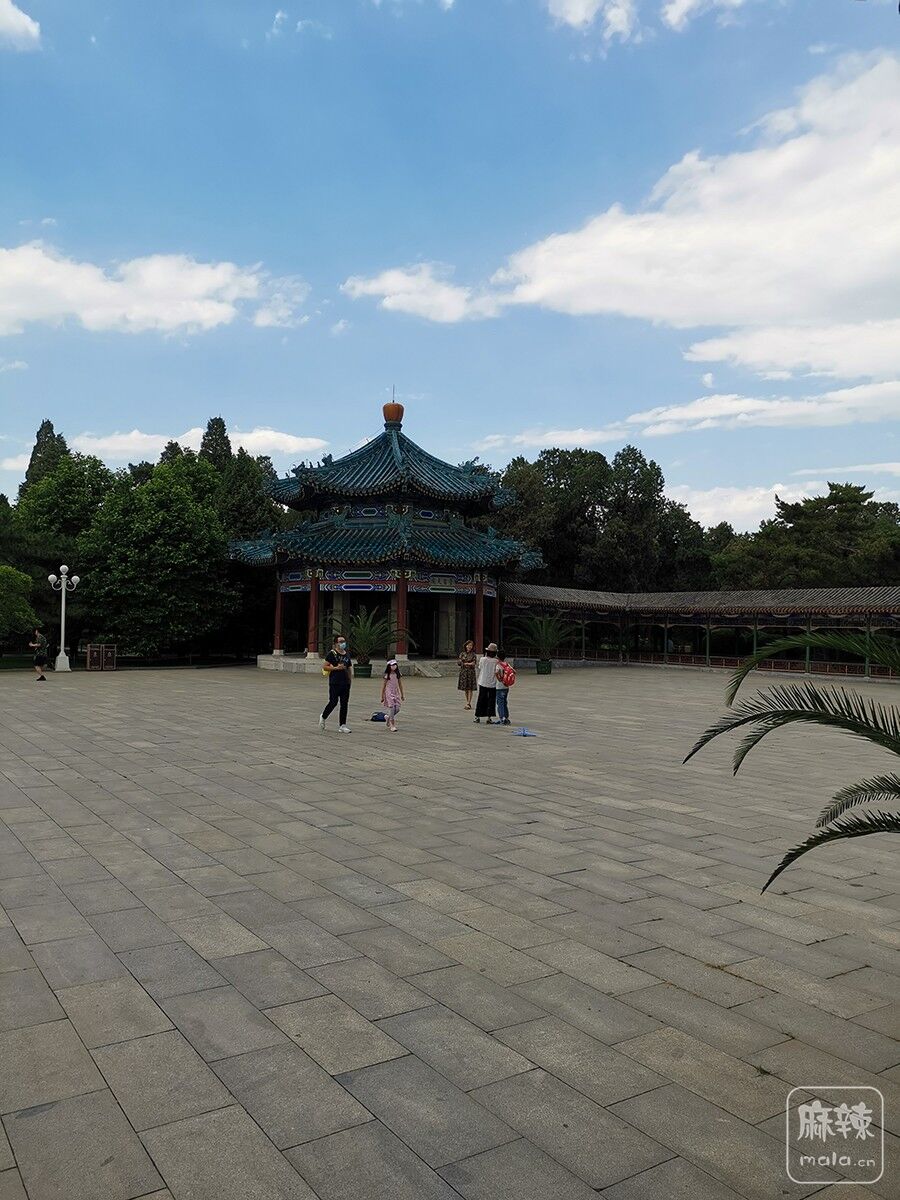IMG_20200524_145836.jpg
