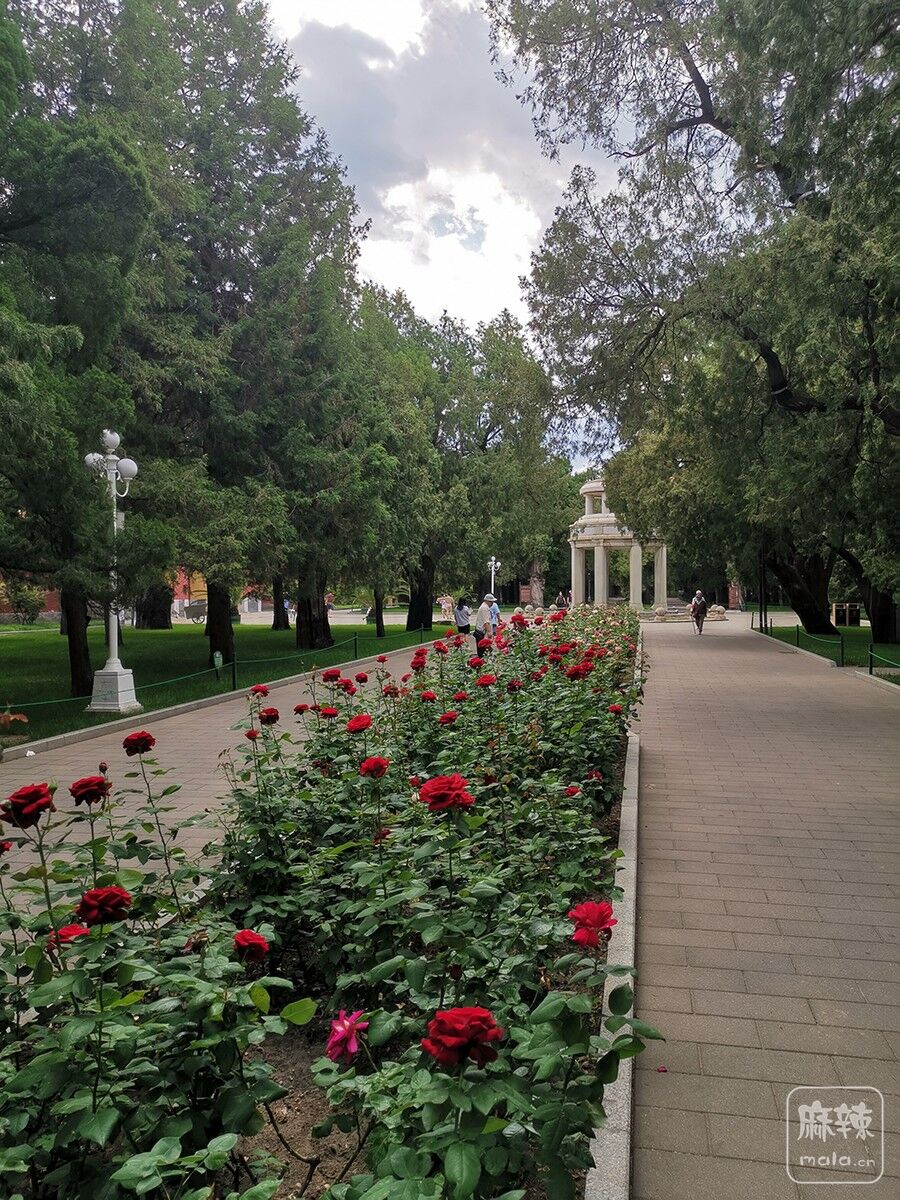 IMG_20200524_151002.jpg