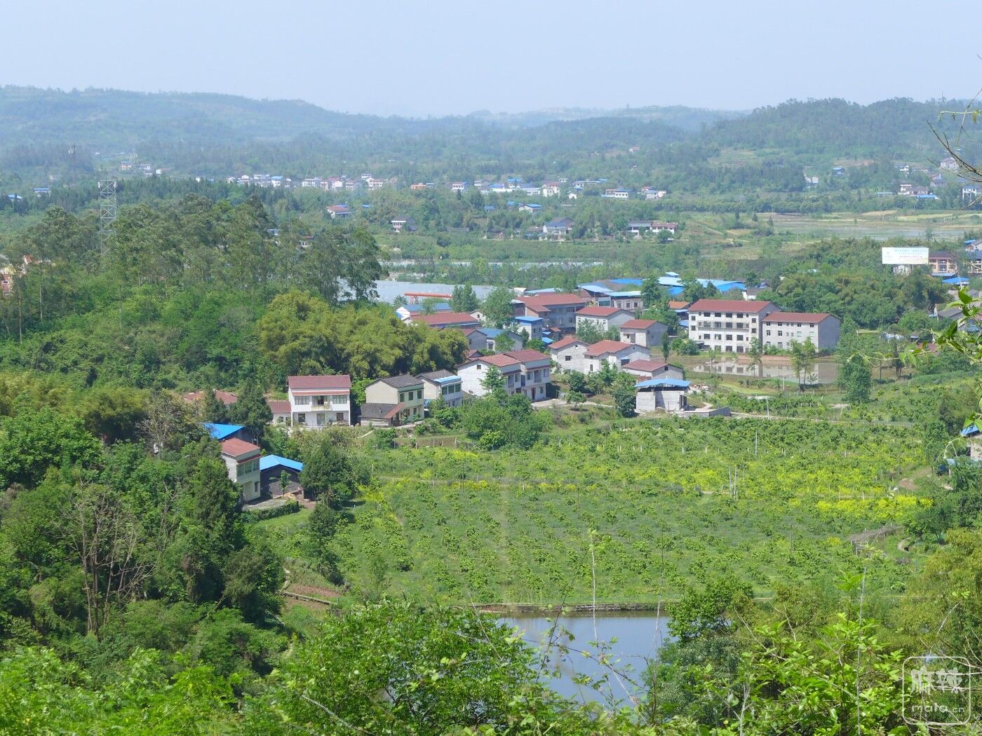 ڻѣǶ.jpg