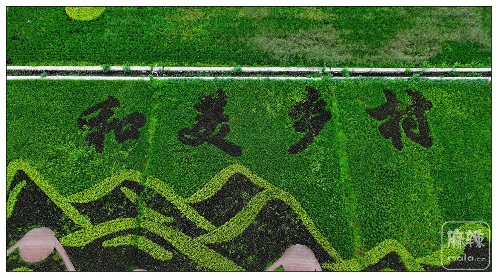 DJI_20230819102807_0030_D.jpg