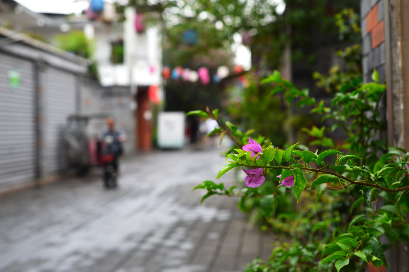 DSC_3383.JPG