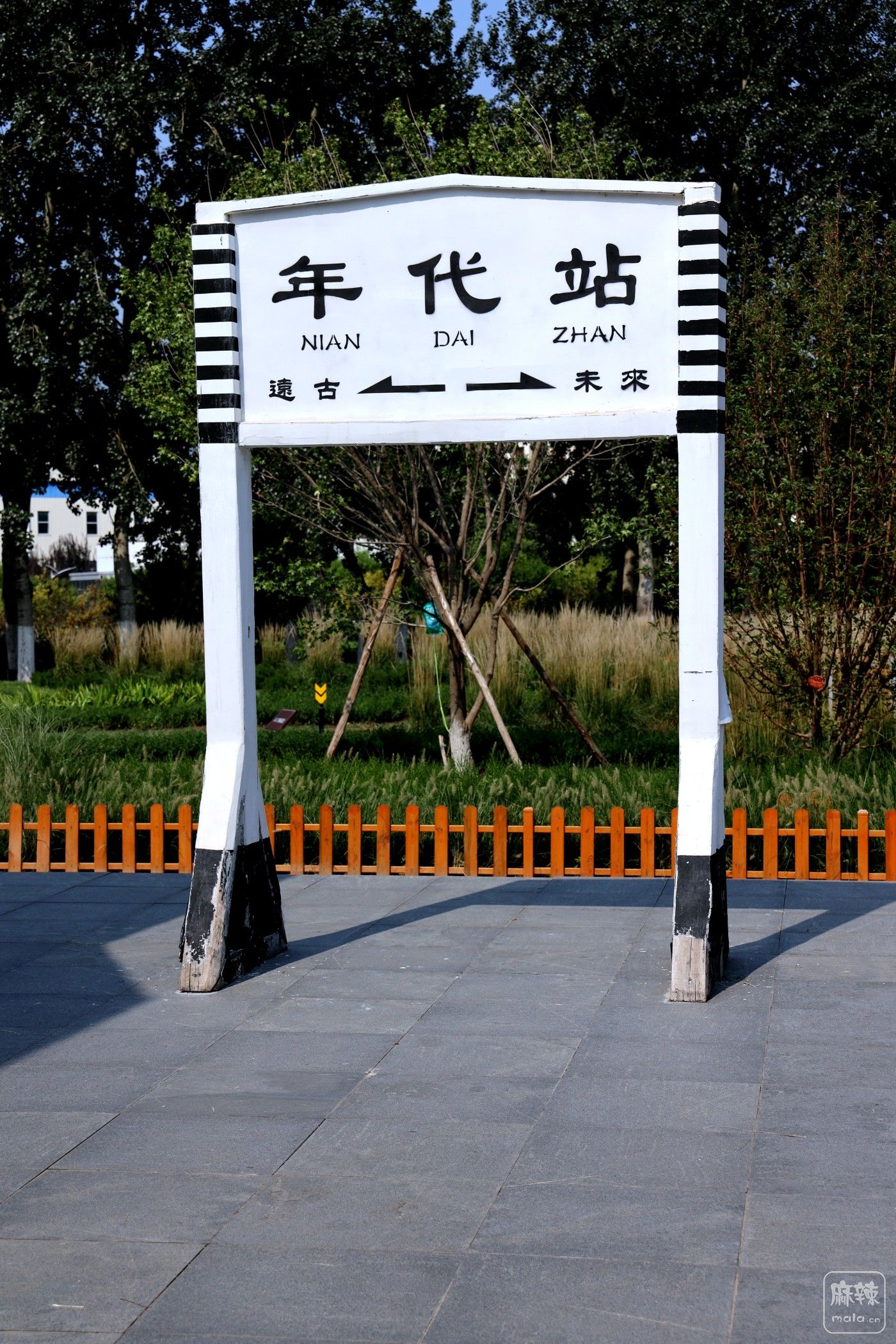 0H9A7951.JPG