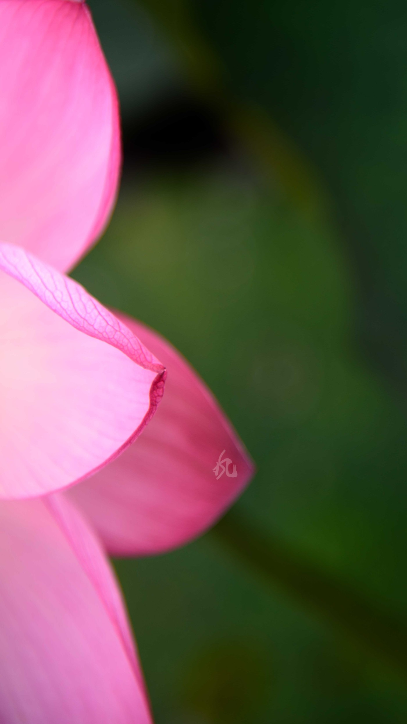 DSC_1710.jpg