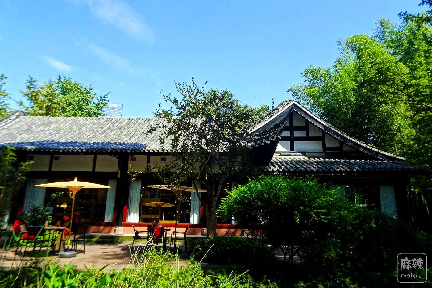 DSC08287.JPG
