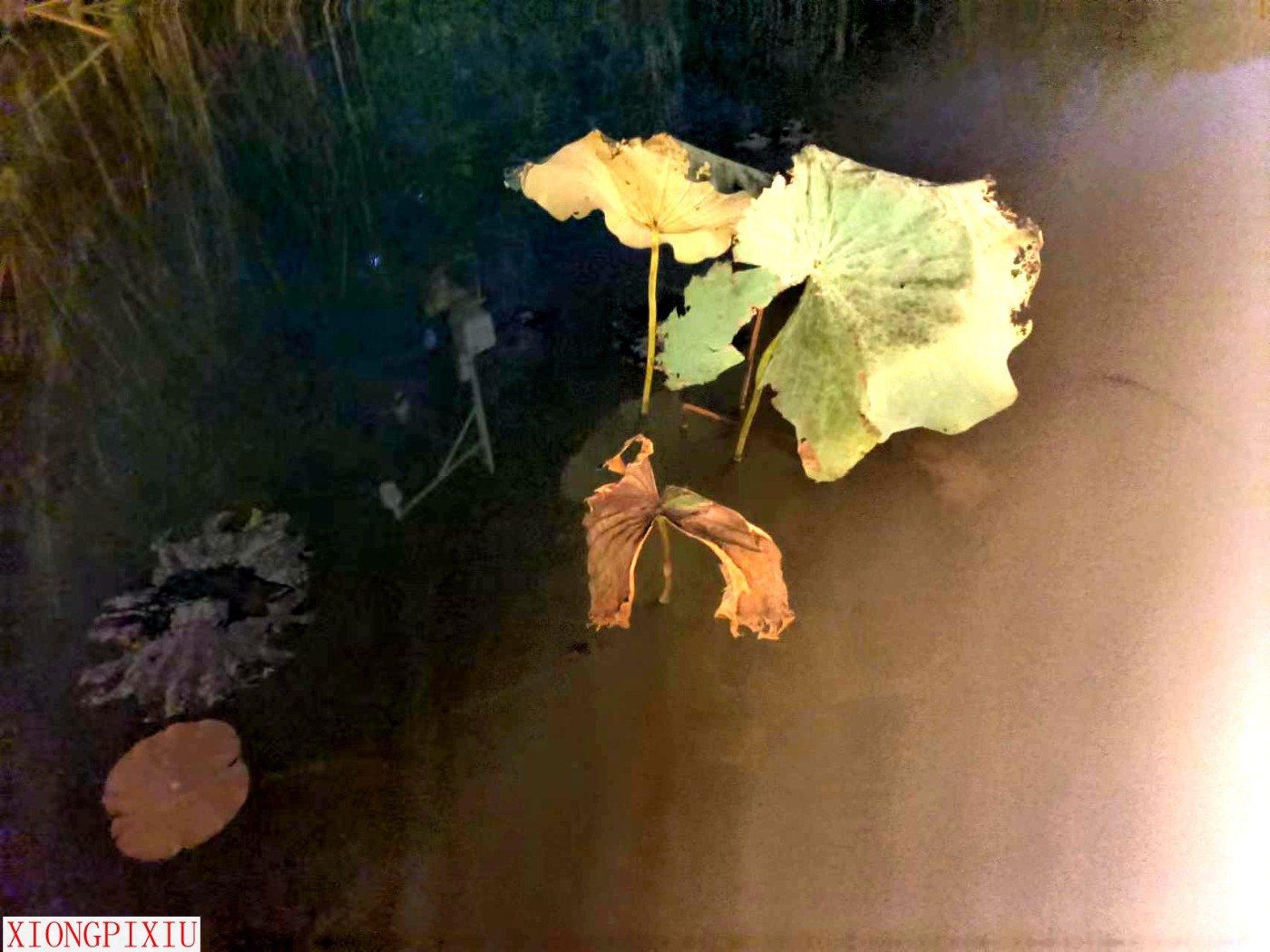 ΢ͼƬ_202310122116192.jpg