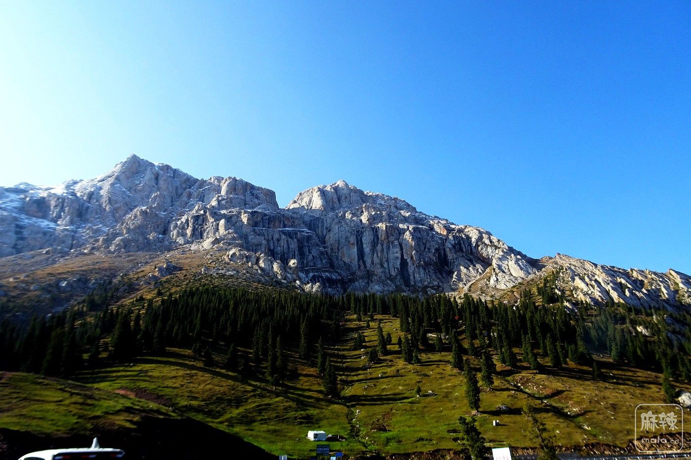 DSC06755.JPG