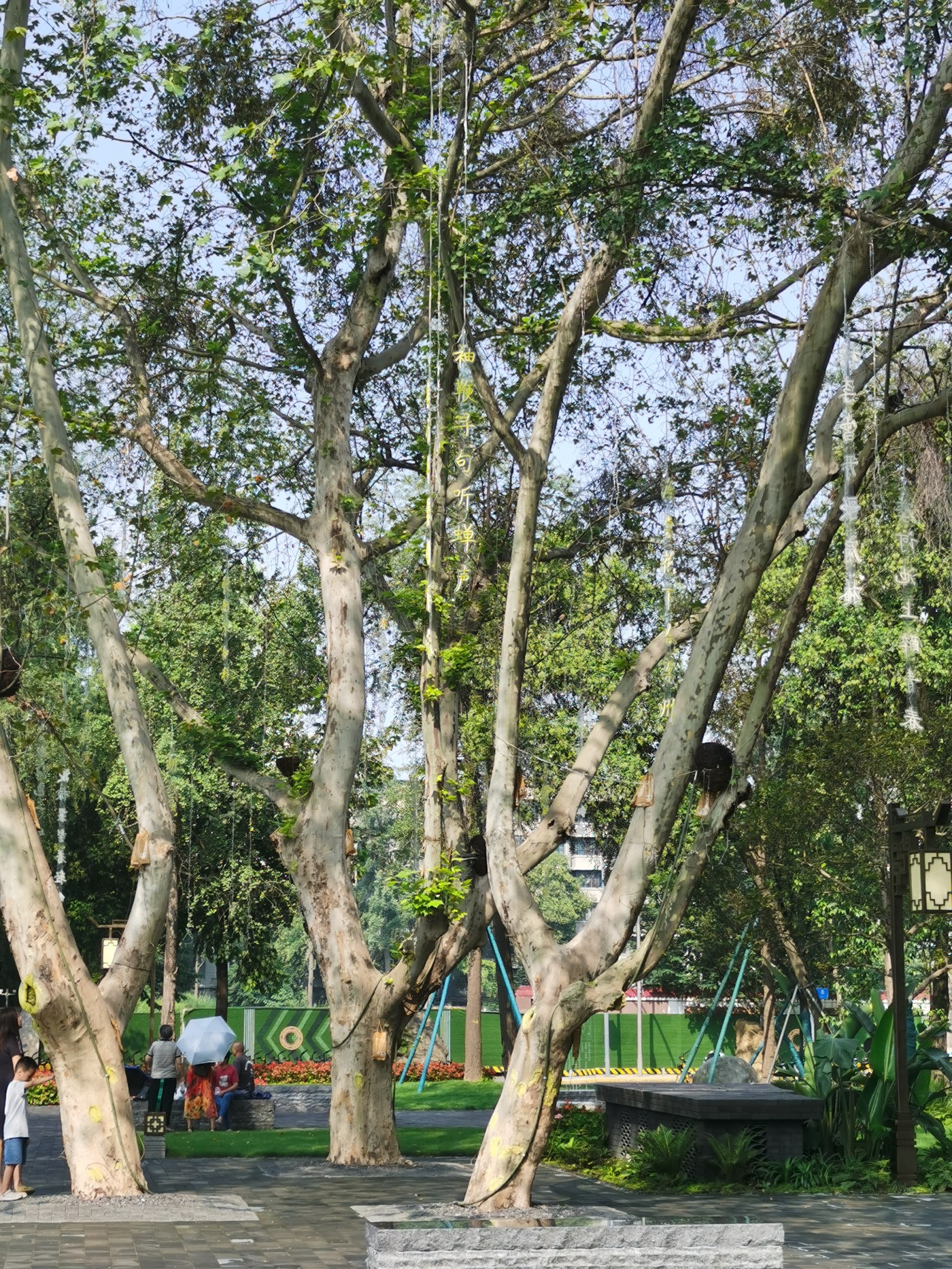 IMG_20230902_101609.jpg