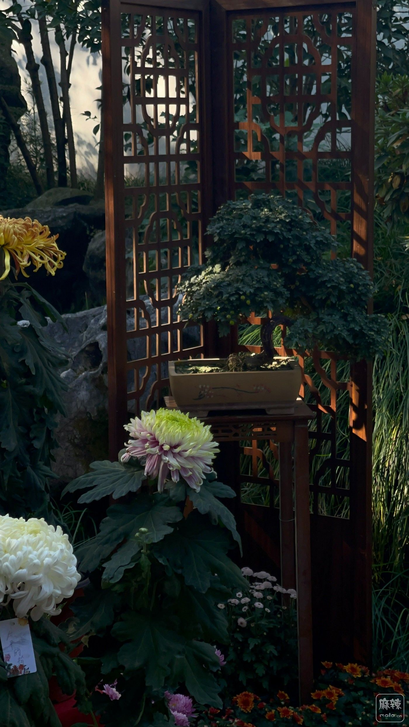 aefd7ba47fd9c6a54825fecfe81da0d.jpg