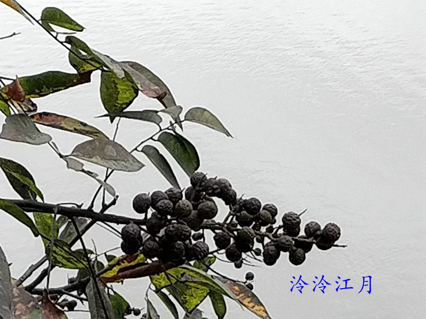 P31027-162523.jpg