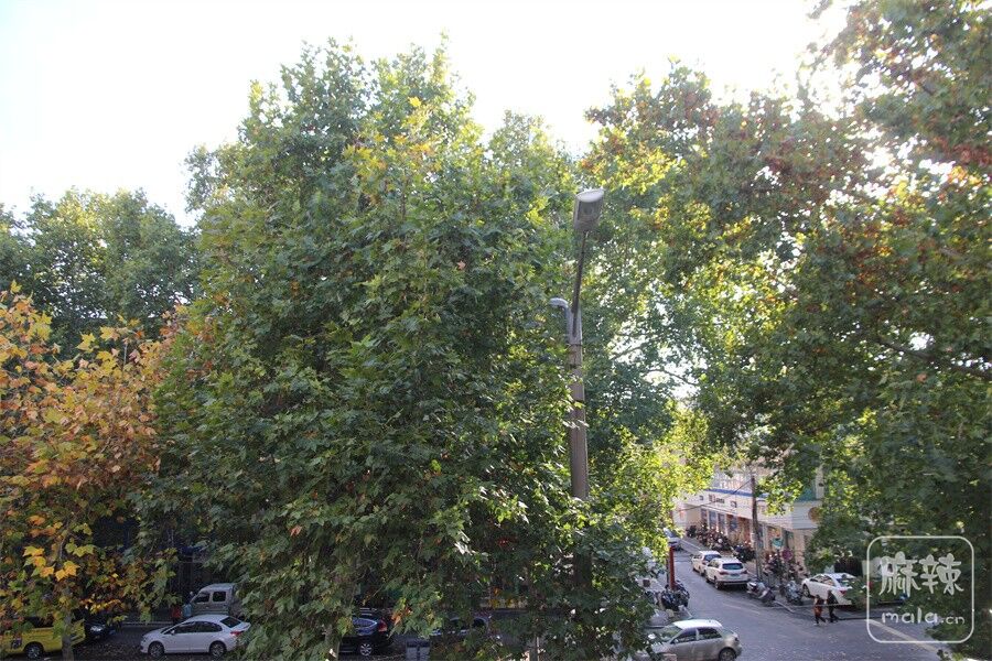 IMG_0002.JPG