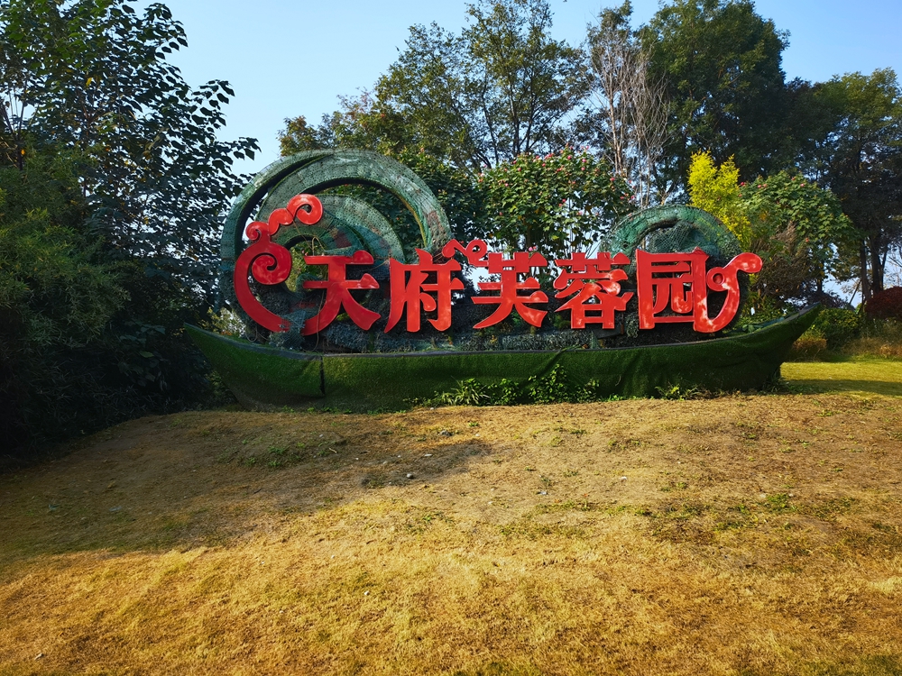 IMG_20231109_101523_.jpg